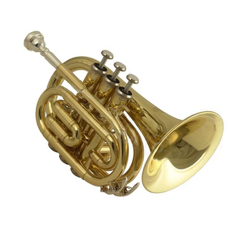 Wisemann DPT-400 Pocket Trumpet Bb